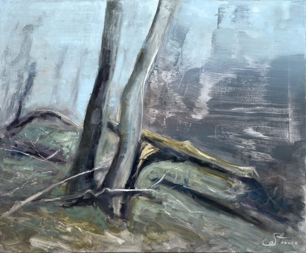 Oil on canvas painting featuring trees in a forest
