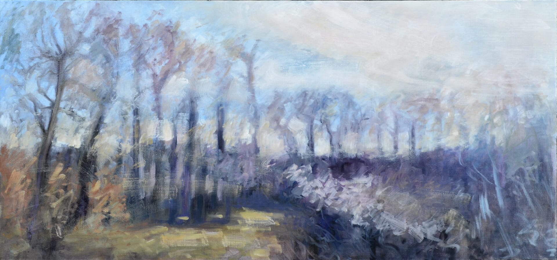 Oil on canvas painting featuring Babadag forest