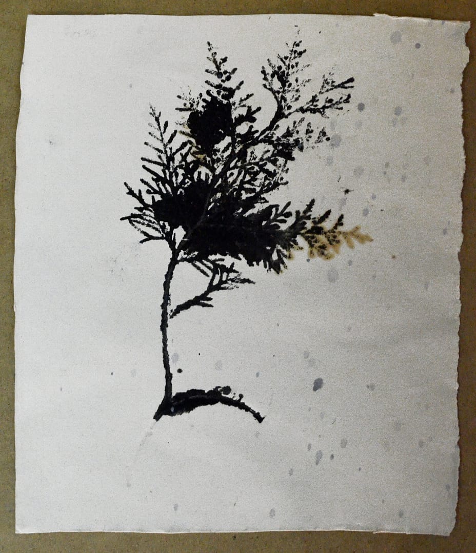 Graphic illustration featuring a tree in black and white