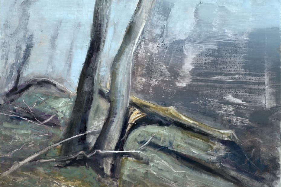 Oil on canvas painting featuring trees in a forest