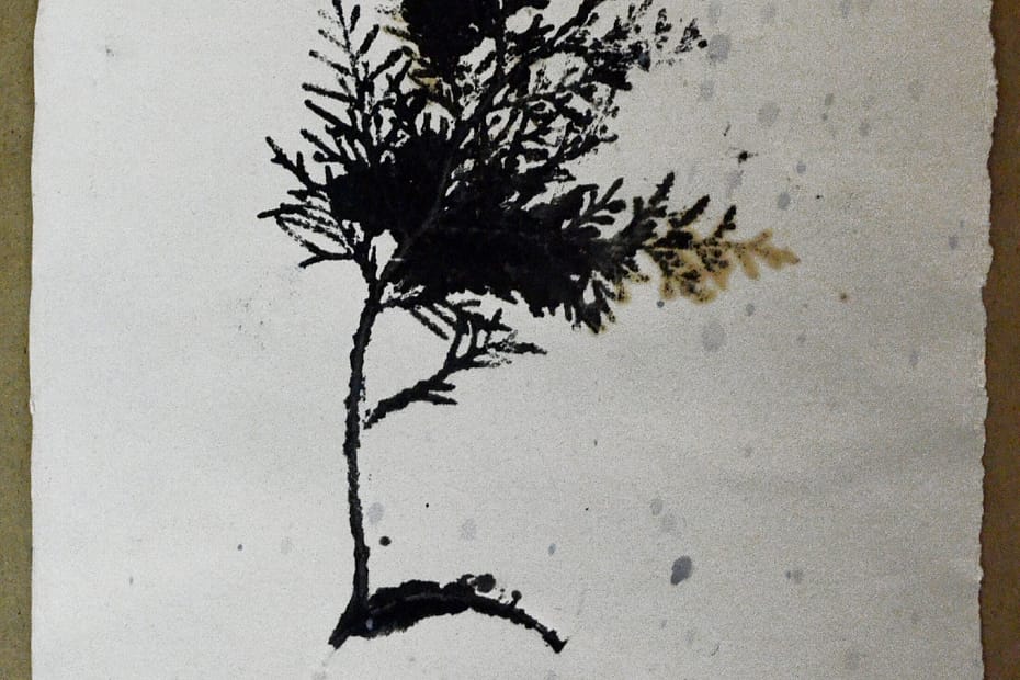 Graphic illustration featuring a tree in black and white